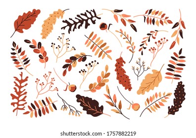 Autumn leaves and berries flat set. Yellow, orange and red autumnal garden leaf. Hand drawn abstract style for decorative seasonal composition for invitation card Isolated on white vector illustration