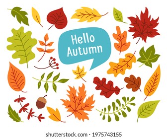 Autumn leaves and berries, hand drawn colorful trendy cartoon set. Flat rustic leaf collection and speech bubble. Fall leave, sticker icons collection. Autumn clip art vector on white background