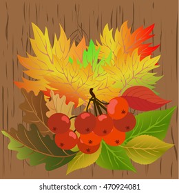 Autumn leaves and berries on a wooden background