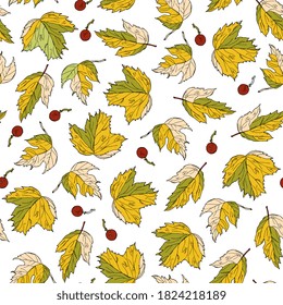 autumn leaves and berries seamless  pattern. botanical sketch, outline. Hand drawing ink. For packaging, wallpaper, fabric, wrapping, invitations
