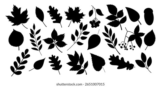 Autumn leaves and berries, set of silhouettes. Black vector clipart. Perfect for stamps, stickers, prints and minimalist nature designs.