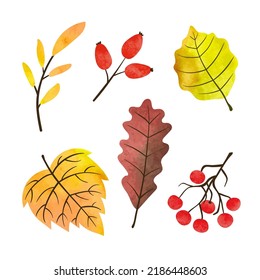 Herbstblätter und Beeren. Vektorgrafik-Aquarellblatt