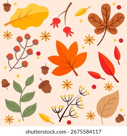 autumn leaves and berries vector