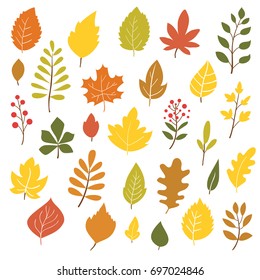 Autumn leaves, big collection, hand drawn style, vector illustration