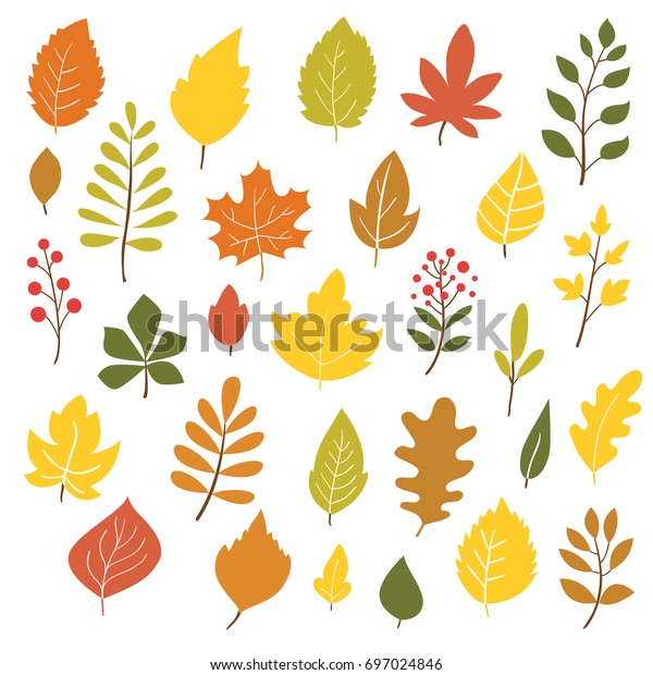 Autumn Leaves Big Collection Hand Drawn Stock Vector Royalty Free 697024846