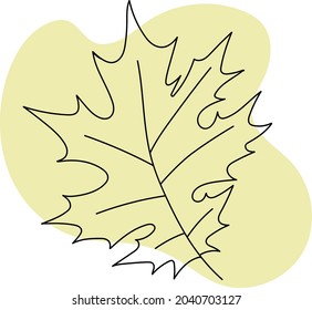 Autumn leaves, black line drawing on colored background, isolated image.