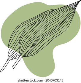 Autumn leaves, black line drawing on colored background, isolated image.