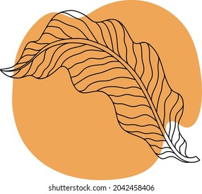 Autumn leaves, black line drawing on colored background, isolated image.