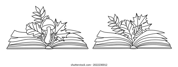 Autumn leaves with a book in a line art style.