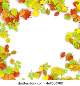 Autumn Leaves Border