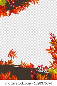 El otoño deja el marco de borde con el texto de espacio sobre fondo transparente. Se puede usar para dar gracias, cosechar vacaciones, decoración y diseño.