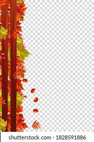 Autumn leaves border frame with space text on transparent background. Can be used for thanksgiving, harvest holiday, decoration and design.