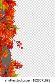 Autumn leaves border frame with space text on transparent background. Can be used for thanksgiving, harvest holiday, decoration and design.