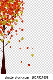 El otoño deja el marco de borde con el texto de espacio sobre fondo transparente. Se puede usar para dar gracias, cosechar vacaciones, decoración y diseño.