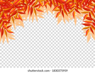 Autumn leaves border frame with space text on transparent background. Can be used for thanksgiving, harvest holiday, decoration and design.