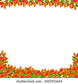  El otoño deja el marco de borde con el texto de espacio sobre fondo transparente. Ilustración vectorial.