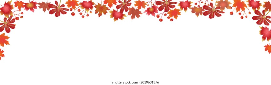 Autumn Leaves Border isolated on White. Fall foliage frame with colorful fall leaves for text. Editable vector illustration, EPS10. Image for banner or web header.