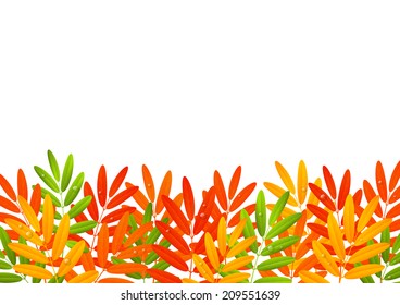 Autumn leaves border on white