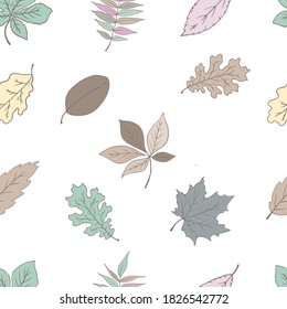Autumn leaves. Botanical background. Seamless vector pattern.
