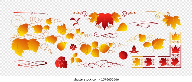Autumn leaves and branches. Collection of elements for design. Eps10 vector isolated set.