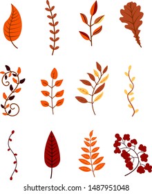 Autumn leaves and branches of different trees colorful cartoon vector illustration. Set september or october leaf fall. Collection