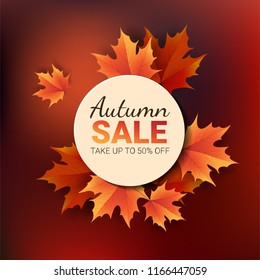 Autumn leaves. Bright colourful autumn oak leaves. Template for placards. Seasonal sale in shop. Vector Illustration  