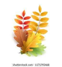 Autumn leaves. Bright colourful autumn oak leaves. Template for placards. Seasonal sale in shop. Vector Illustration