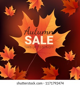 Autumn leaves. Bright colourful autumn oak leaves. Template for placards. Seasonal sale in shop. Vector Illustration