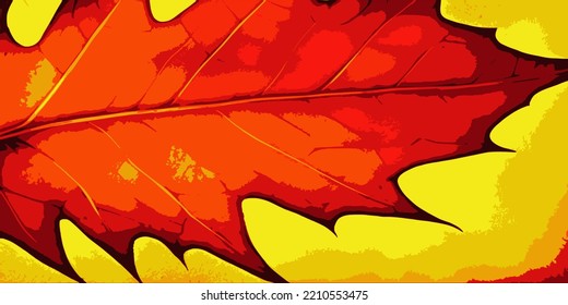 Autumn leaves, bright vector background, vector banner