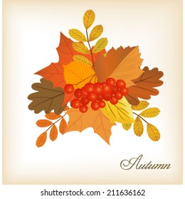 autumn leaves bunch