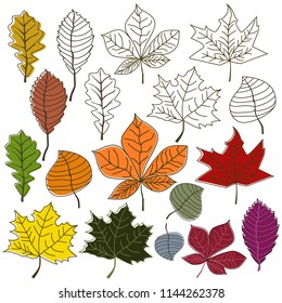 autumn leaves bush collection set