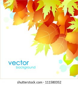 Autumn leaves cheerful background.Vector.