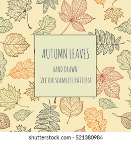 Autumn leaves: chestnut, oak, maple, alder. Hand-drawn doodle illustration for adult coloring books.
