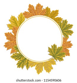 Autumn leaves circle frame background. Colourful maple leaves design