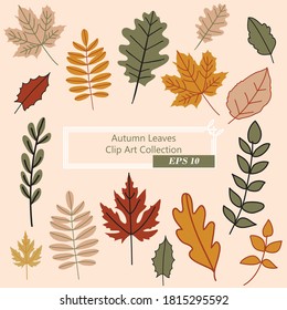 Autumn leaves Clip art collection. Fall theme in a bright and warm color. Can use for print, template, fabric, presentation, textile, banner, poster, wallpaper, digital paper, scrapbook, 