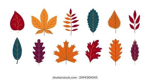 Hojas de otoño Clipart. Iconos coloridos del follaje de otoño garabatos, pegatinas. Dorada y acogedora temporada. Bosque. Vector aislado en blanco.