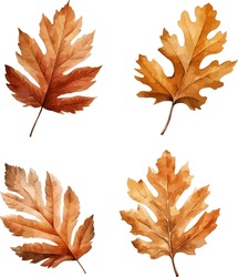 Der Herbst Hinterlässt Clipart, Einzelne Vektorgrafik.