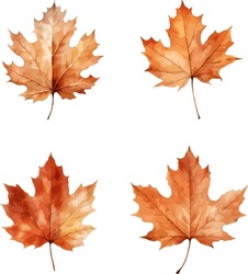 Der Herbst Hinterlässt Clipart, Einzelne Vektorgrafik.