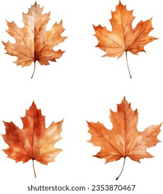 Autumn leaves clipart, isolated vector illustration.