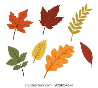 Diseño de vectores clipart de hojas de otoño