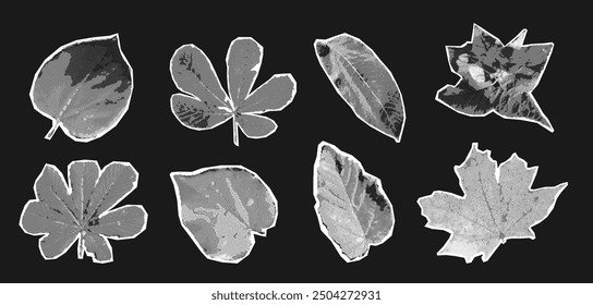 Autumn leaves collage set with dotted halftone effect. Grunge y2k fall collection elements. Retro vintage vector illustration
