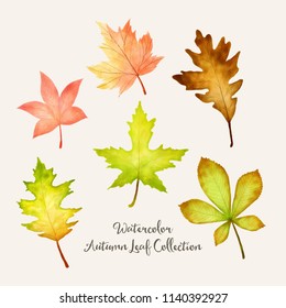 Autumn Leaves Collection