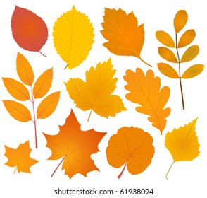 282,567 Autumn Leaves Silhouette Images, Stock Photos & Vectors ...