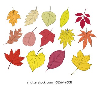 Autumn leaves collection