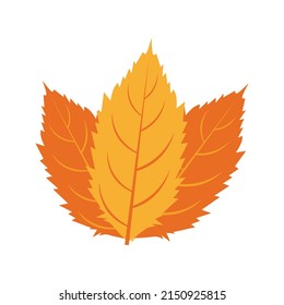 Autumn leaves collection design art
