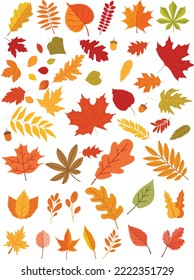 Autumn Leaves Collection (Editable file) - Vector Illustration