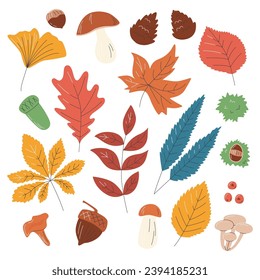 Colección de hojas de otoño. Decoración de elementos coloridos. Conjunto de siluetas estacionales y coloridas. Conjunto de herbario con bellotas y pineconas ilustraciones planas de vectores dibujadas a mano aisladas en blanco