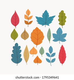 Autumn Leaves Collection Flat Vector