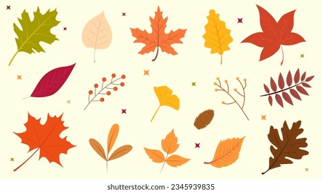 Autumn leaves collection. Hand drawn fall elements. Warm and earthy trendy vector illustration.