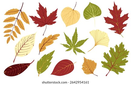 Autumn Leaves Collection. Hand-Drawn Fall Leaves. Flat Style Autumn Leaves Vector Illustrations